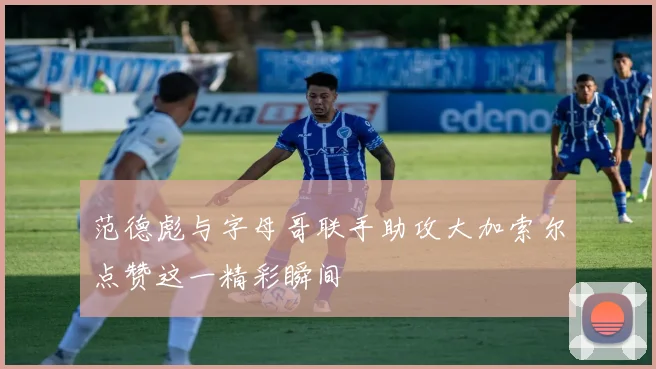 范德彪与字母哥联手助攻大加索尔点赞这一精彩瞬间