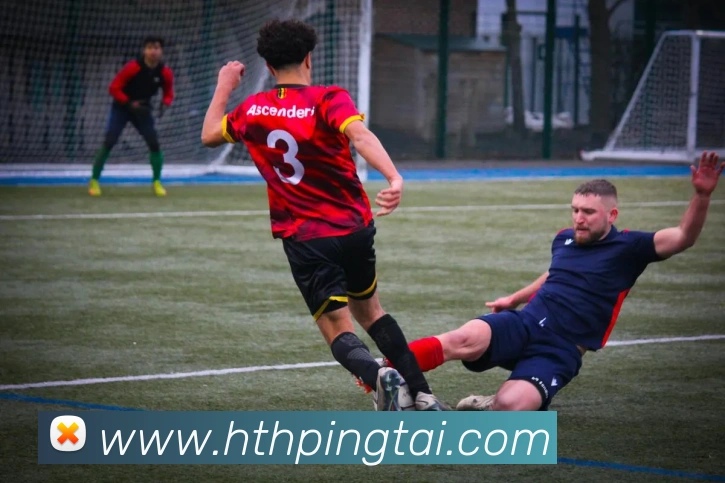 华体会体育平台生态图